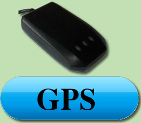 GPS Tracking Service